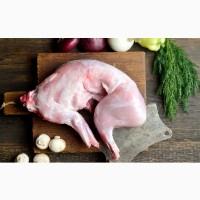 Продам мясо кролика!на постійній основі