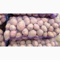 Реализуем картошку