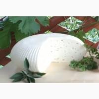 Продам козячу бринзу