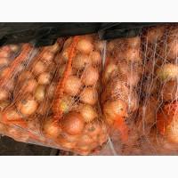 Продам лук (Польша)