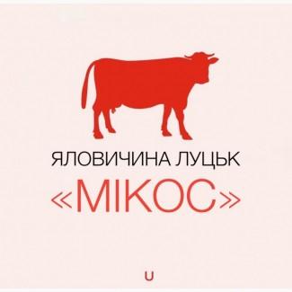 Купуємо ВРХ(корови, бики)