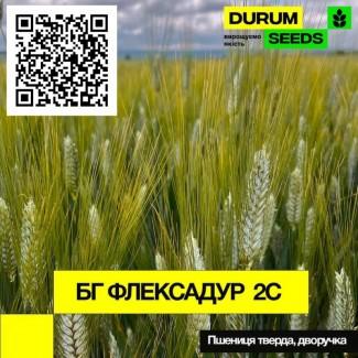 Насіння пшениці - БГ Флексадур 2С / Durum Seeds 2024 - Оригінатор Biogranum (Сербія)