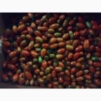 Продам помідор ЗЕЛЕНИЙ ТА ЧЕРВОНИЙ