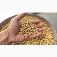 Продам сою гмо