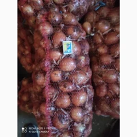 Продам цибулю