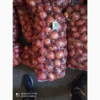 Продам цибулю