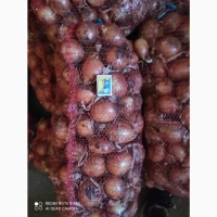 Продам цибулю