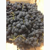 Продам столовий виноград