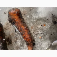 Продам моркву Київ