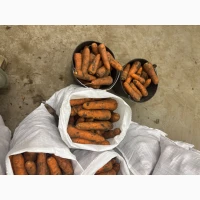 Продам гарну моркву сорт каскад