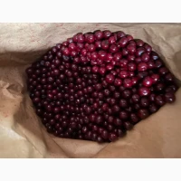 Продам вишню