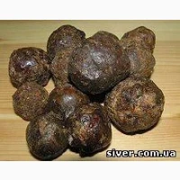 3вкуп08уєм0 ПР0П0ЛІС нв п0стійній 0сн08і | Д0г08ірнв цінв | 6удь-які 06сяги