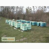 Продам вулики, корпусні на 230-ту рамку
