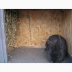 Изготовлю, продам клетки для кроликов