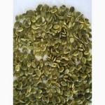 Продам семена тыквы