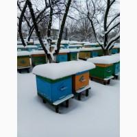 Продам пчелопакеты и пчелосеми