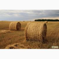 Продажа пшеничной, ячной и соевой соломы тюкованной