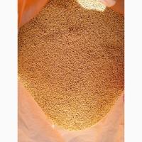 Горчица на сидерат