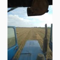 Продам солому ячмінну