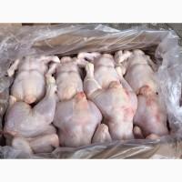 Whole chicken FOB Black sea