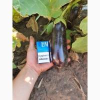 Продам баклажан алмаз