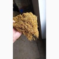 Продам Турецкий табак Вирджиния Голд, Берли