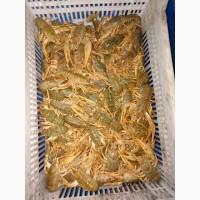 Продам раки оптом
