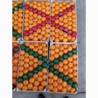 Продам фрукты цитрусовые