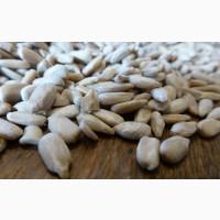 Есть покупатели семечки подсолнечника масленичный и кулинарный на экспорт с 20 тонн