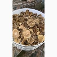 Мухомор пантерный красный королевский (шляпки, ножки)