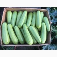 Продам кабачок