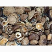 Шапки пантерного мухомора