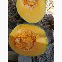 Продам товарну тикву