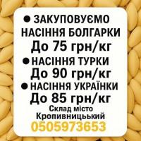 Закупівля гарбузового насіння