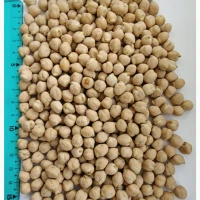 Продам нут (турецький горох, chickpeas)- 500т., с/г виробник, б/г з ПДВ, $ контракт