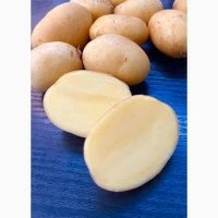 Продам товарну картоплю, різні сорти