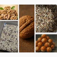 Волоський горіх та фундук - перебрані