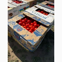 Продам качественную номерную сливку