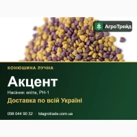 Купити насіння конюшини лучної Акцент - еліта, РН-1
