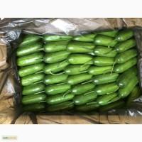 Огурец Египет 10-15 см полиур. ящик 0.82$