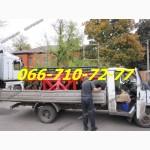 Паллада 3200 прицепная борона