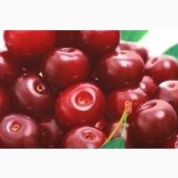 Продам ВИШНЮ без кісточки шокової заморозки