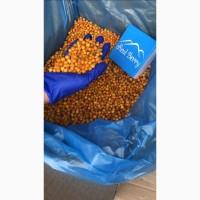 Продам обліпиху заморожену