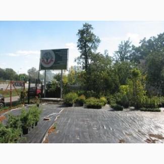 Участок с евроофисом на фасаде Одесской трассы (47-й км, с.Митниця, 15 минут от Теремков)