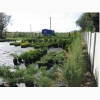 Участок с евроофисом на фасаде Одесской трассы (47-й км, с.Митниця, 15 минут от Теремков)