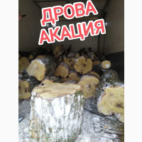 Продам Дрова Акация