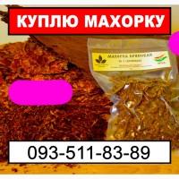 Мвх0ркв и ее пр0и380дные