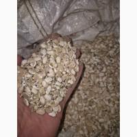 Продам половинку квасолі