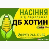 Насіння від виробника - Гібрид кукурудзи ДБ Хотин (ФАО 280)