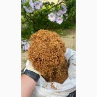 Тютюн високої якості за найкращими цінами. Гільзи, машинки та багато інших товарів